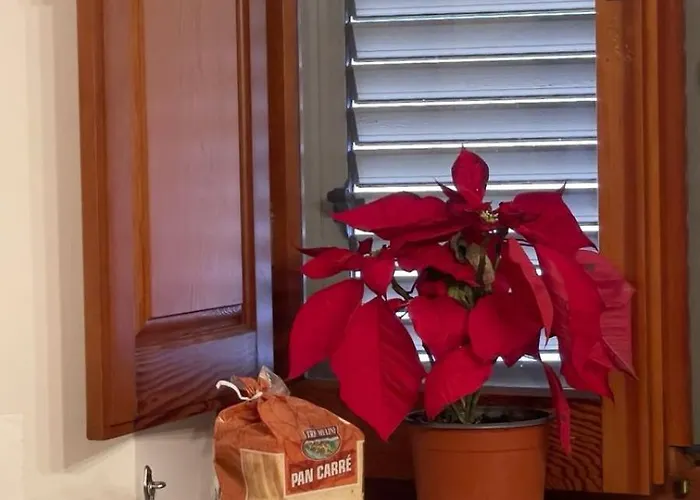 Appartamento Itiseasy 1 E 2 Private *